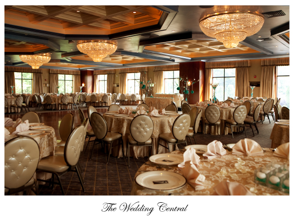 The Imperia Somerset New Jersey Indian Wedding Photography