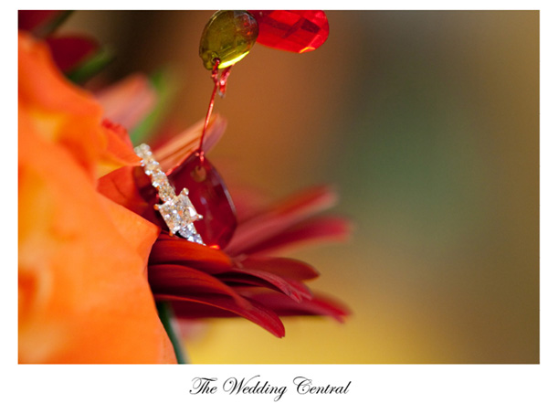 Brownstone-NJ-Wedding-Photography-CM01 Brownstone NJ Wedding Photography