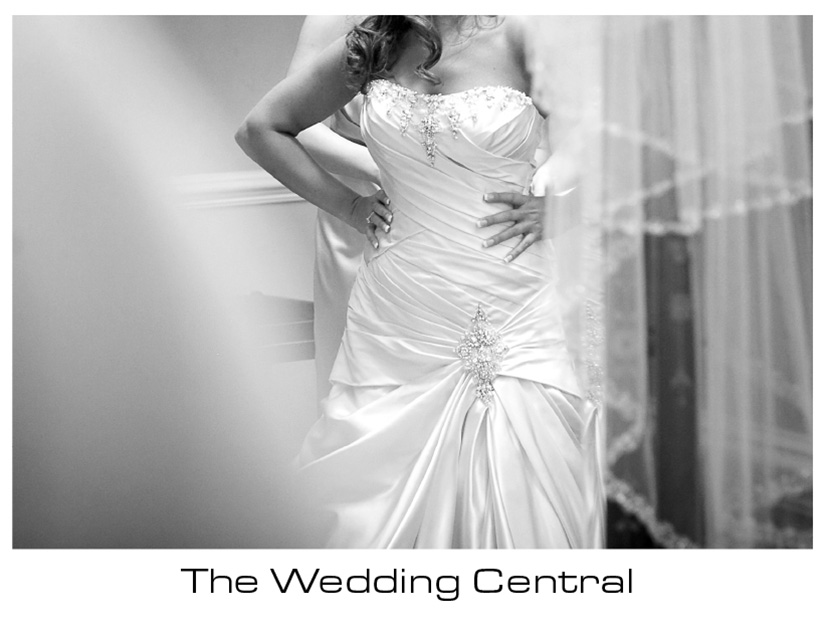 The Palace Somerset NJ Wedding Photographer Rebecca Tommy The Palace at Somerset Park Wedding Photos