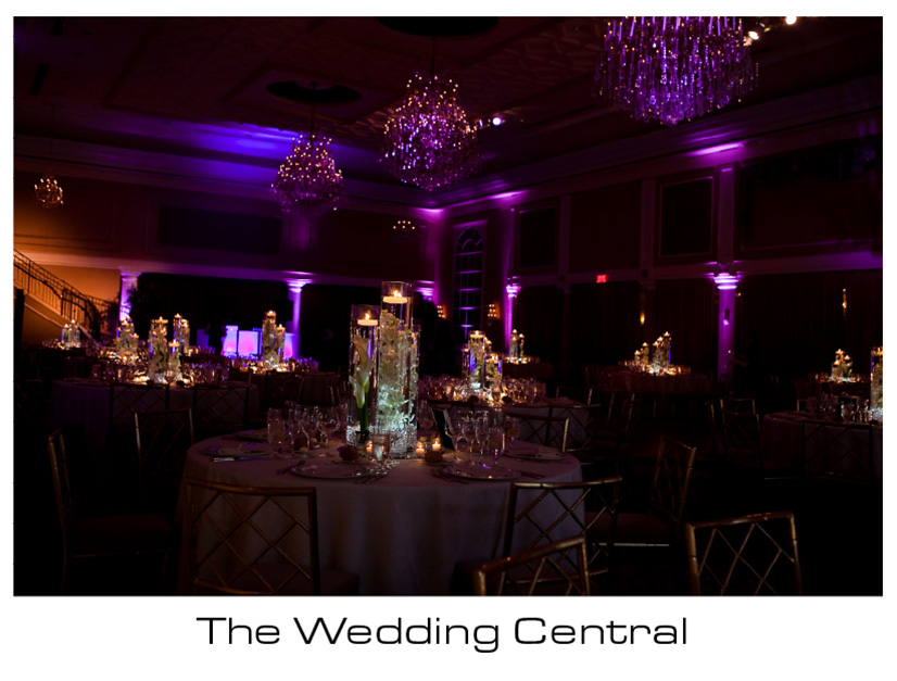 The Palace Somerset NJ Wedding Photographer Rebecca Tommy The Palace at Somerset Park Wedding Photos