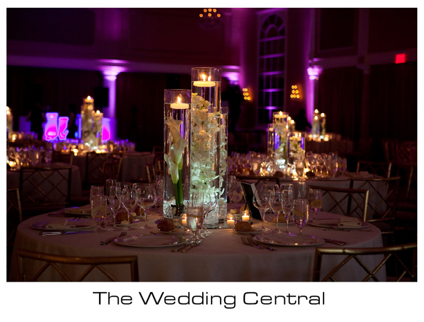 The Palace Somerset NJ Wedding Photographer Rebecca Tommy The Palace at Somerset Park Wedding Photos