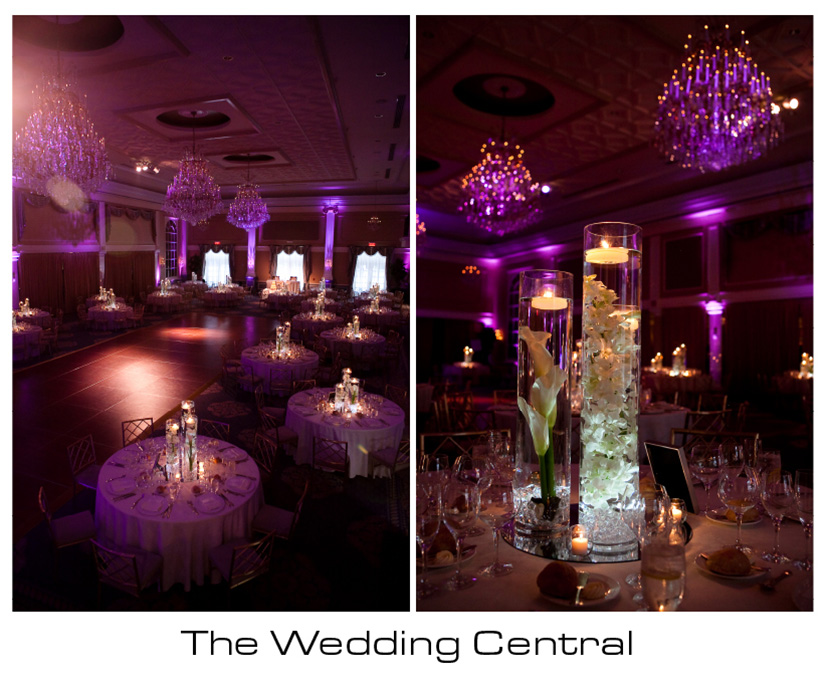 The Palace Somerset NJ Wedding Photographer Rebecca Tommy The Palace at Somerset Park Wedding Photos