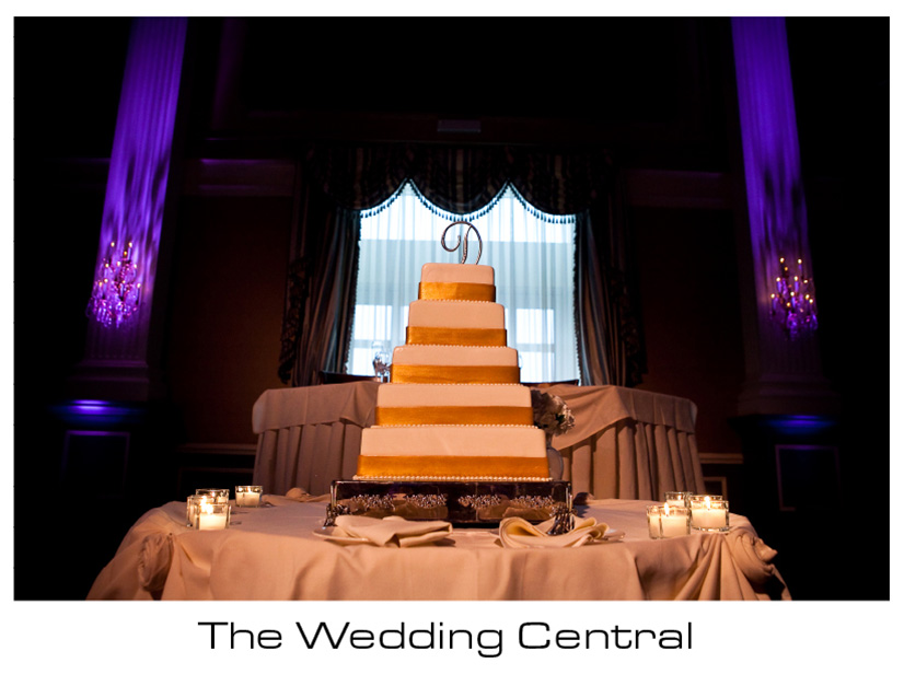 The Palace Somerset NJ Wedding Photographer Rebecca Tommy The Palace at Somerset Park Wedding Photos