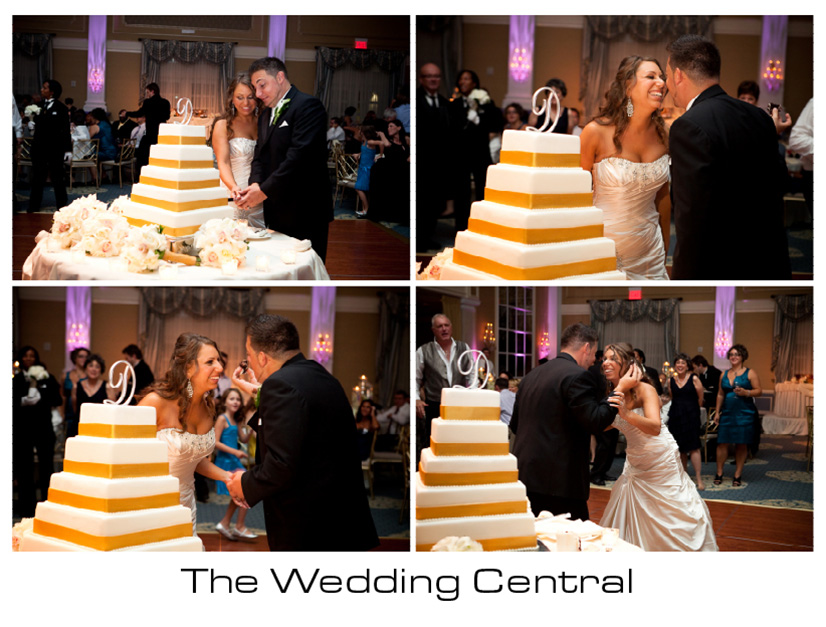 The Palace Somerset NJ Wedding Photographer Rebecca Tommy The Palace at Somerset Park Wedding Photos