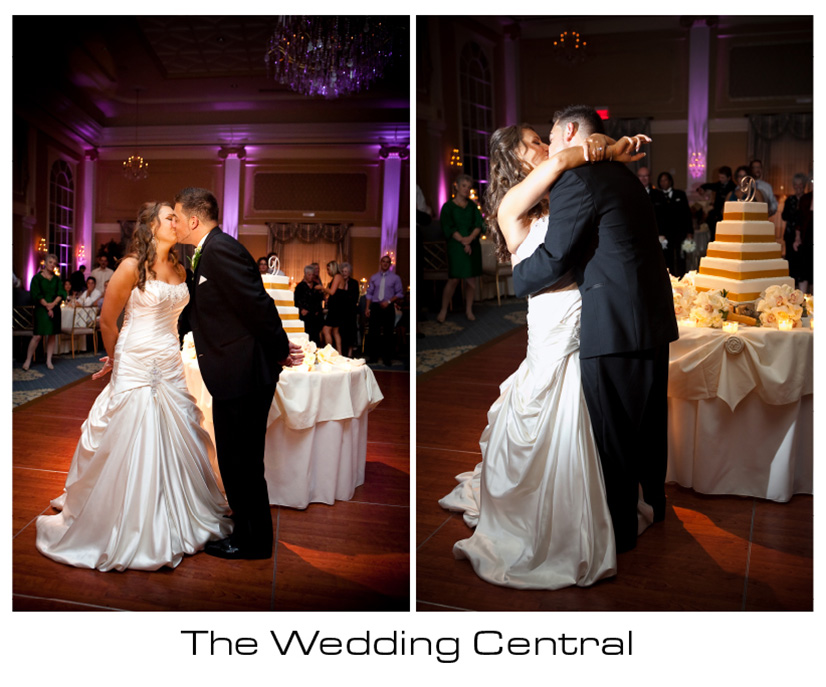 The Palace Somerset NJ Wedding Photographer Rebecca Tommy The Palace at Somerset Park Wedding Photos