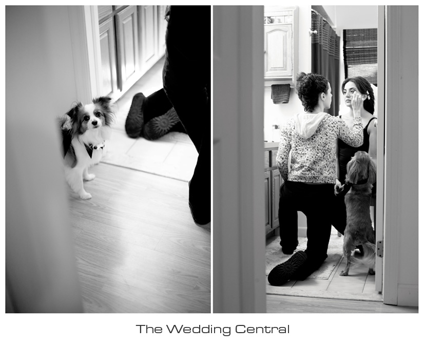 arabic-nj-wedding-photography-Dareen-Elias-01 NJ Jersey Wedding Photographer - Arabic Wedding Photography
