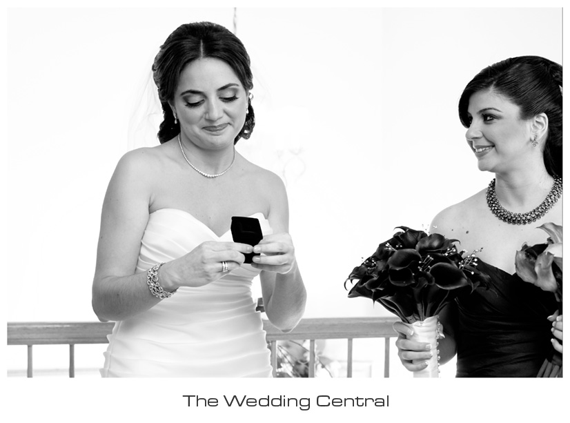 arabic-nj-wedding-photography-Dareen-Elias-01 NJ Jersey Wedding Photographer - Arabic Wedding Photography