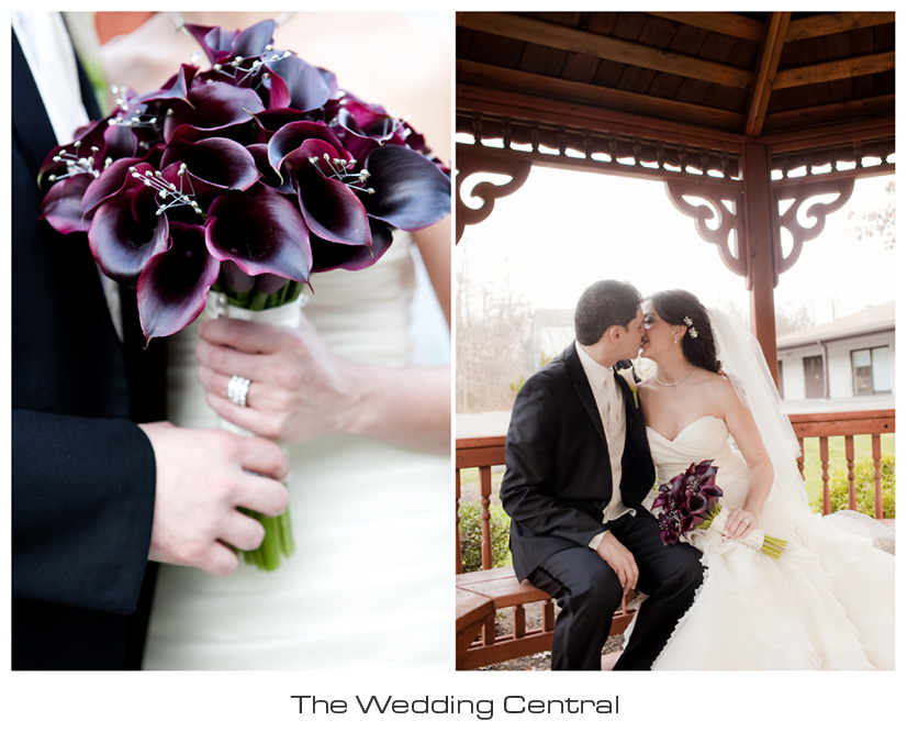 arabic-nj-wedding-photography-Dareen-Elias-01 NJ Jersey Wedding Photographer - Arabic Wedding Photography
