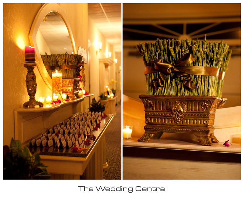arabic-nj-wedding-photography-Dareen-Elias-01 NJ Jersey Wedding Photographer - Arabic Wedding Photography