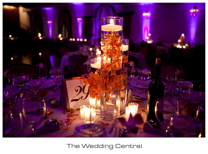 arabic-nj-wedding-photography-Dareen-Elias-01 NJ Jersey Wedding Photographer - Arabic Wedding Photography