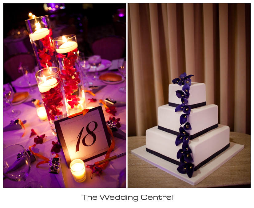 arabic-nj-wedding-photography-Dareen-Elias-01 NJ Jersey Wedding Photographer - Arabic Wedding Photography