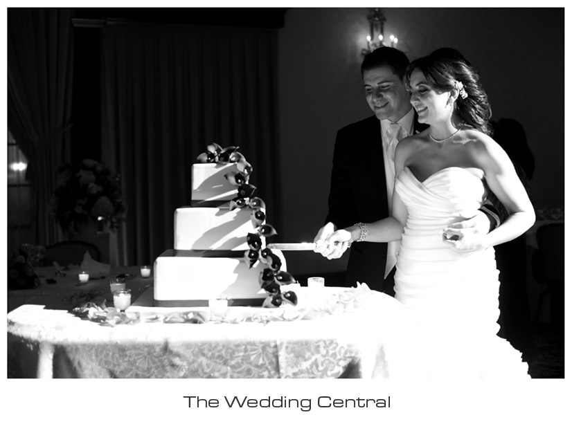 arabic-nj-wedding-photography-Dareen-Elias-01 NJ Jersey Wedding Photographer - Arabic Wedding Photography